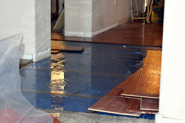 Professional Burst Pipe Cleanup technician working in Fair Haven, NY
